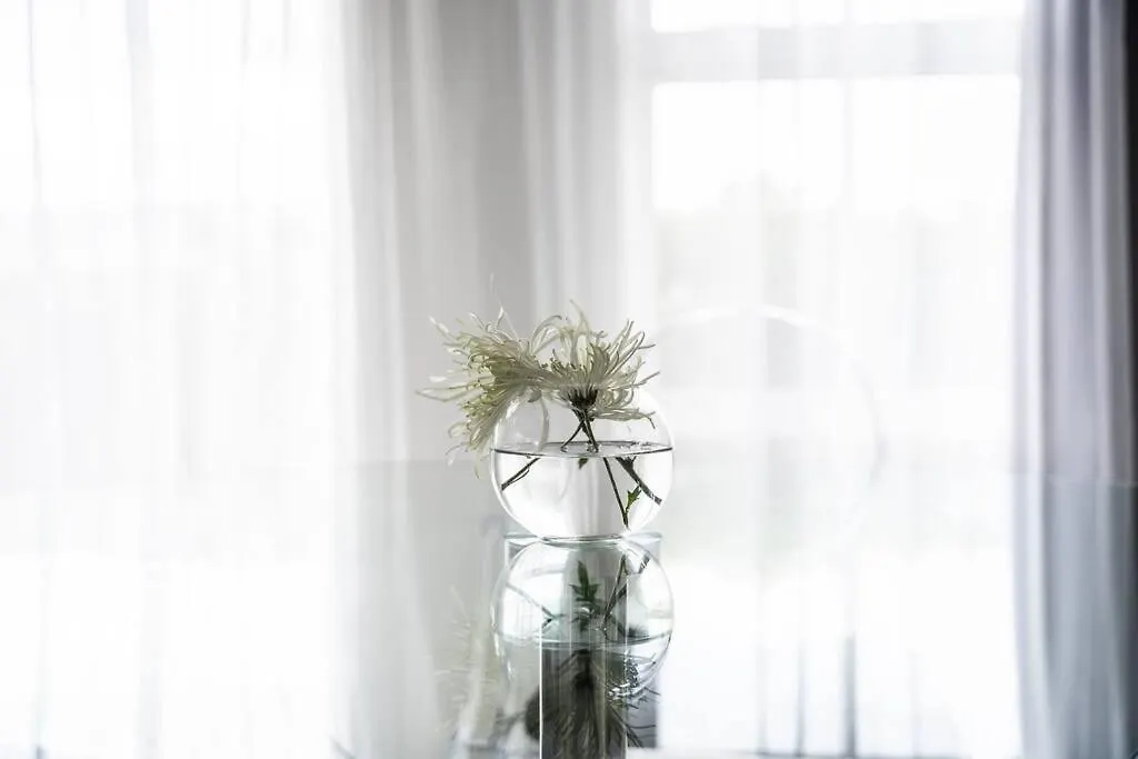 Restful Stay On Geraldine Street Suburban Beauty Christchurch Apartment